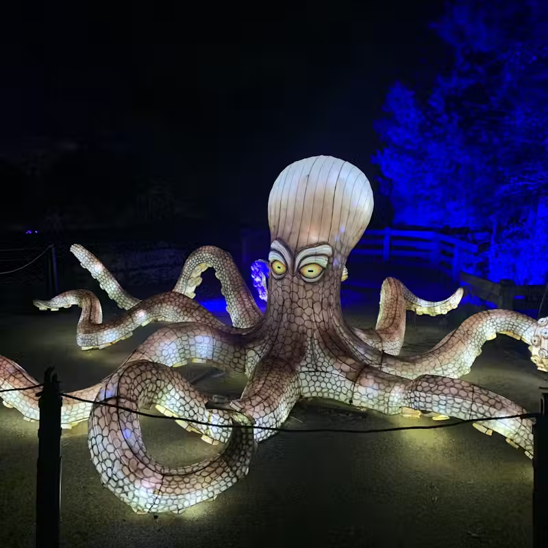 Zoo Atlanta IllumiNights Tickets – A Spectacular Lantern Festival Experience