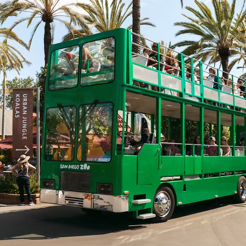 San Diego Zoo Skip-the-Ticket-Line Tickets – Explore the World-Famous Wildlife Park