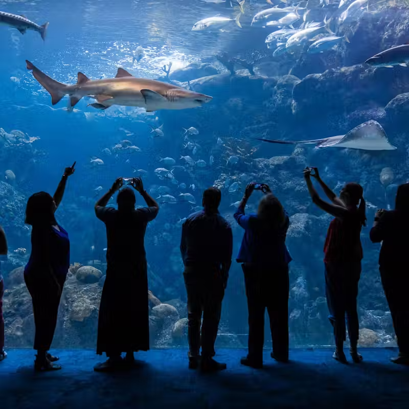 The Florida Aquarium Skip-the-Line Tickets – Dive Into Marine Wonders