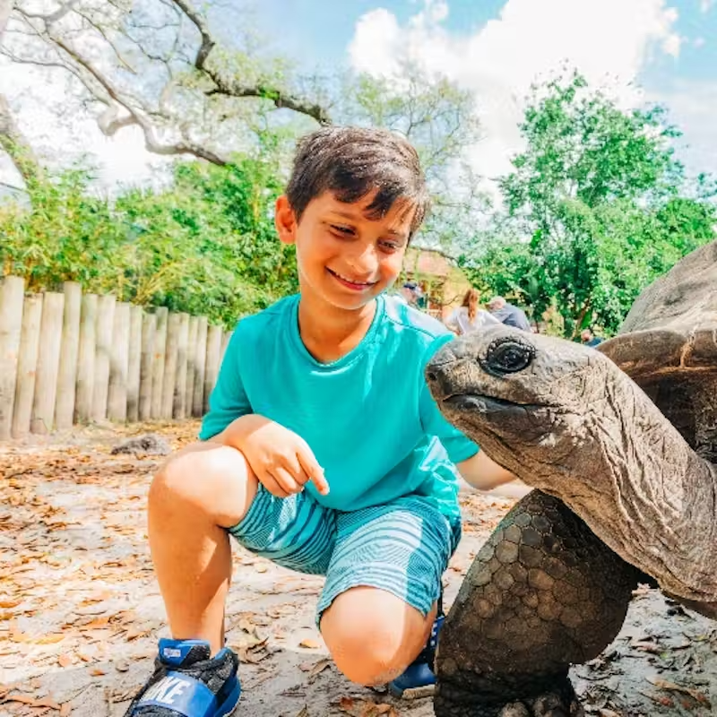 ZooTampa Fast Track Tickets – Wildlife Adventures Made Easy