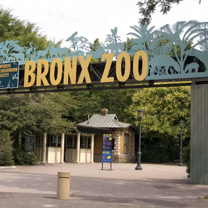 Bronx Zoo Tickets – Explore Wildlife at One of the World’s Largest Zoos