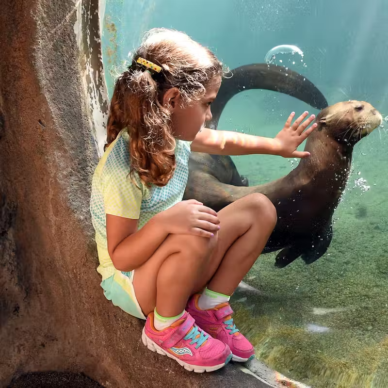 Zoo Miami Skip-the-Line Tickets – Discover Florida’s Largest Zoo