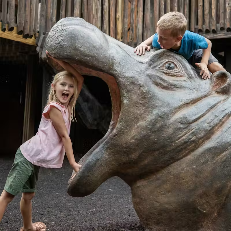 Nashville Zoo at Grassmere Fast Track Tickets – Wildlife and Family Fun in Music City